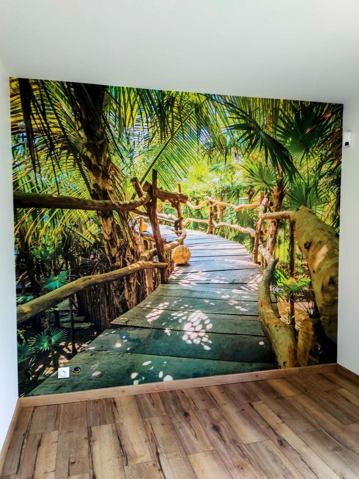 Pose de papiers peints Lyon